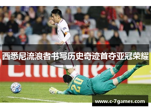 西悉尼流浪者书写历史奇迹首夺亚冠荣耀 西悉尼流浪者书写历史奇迹首夺亚冠荣耀